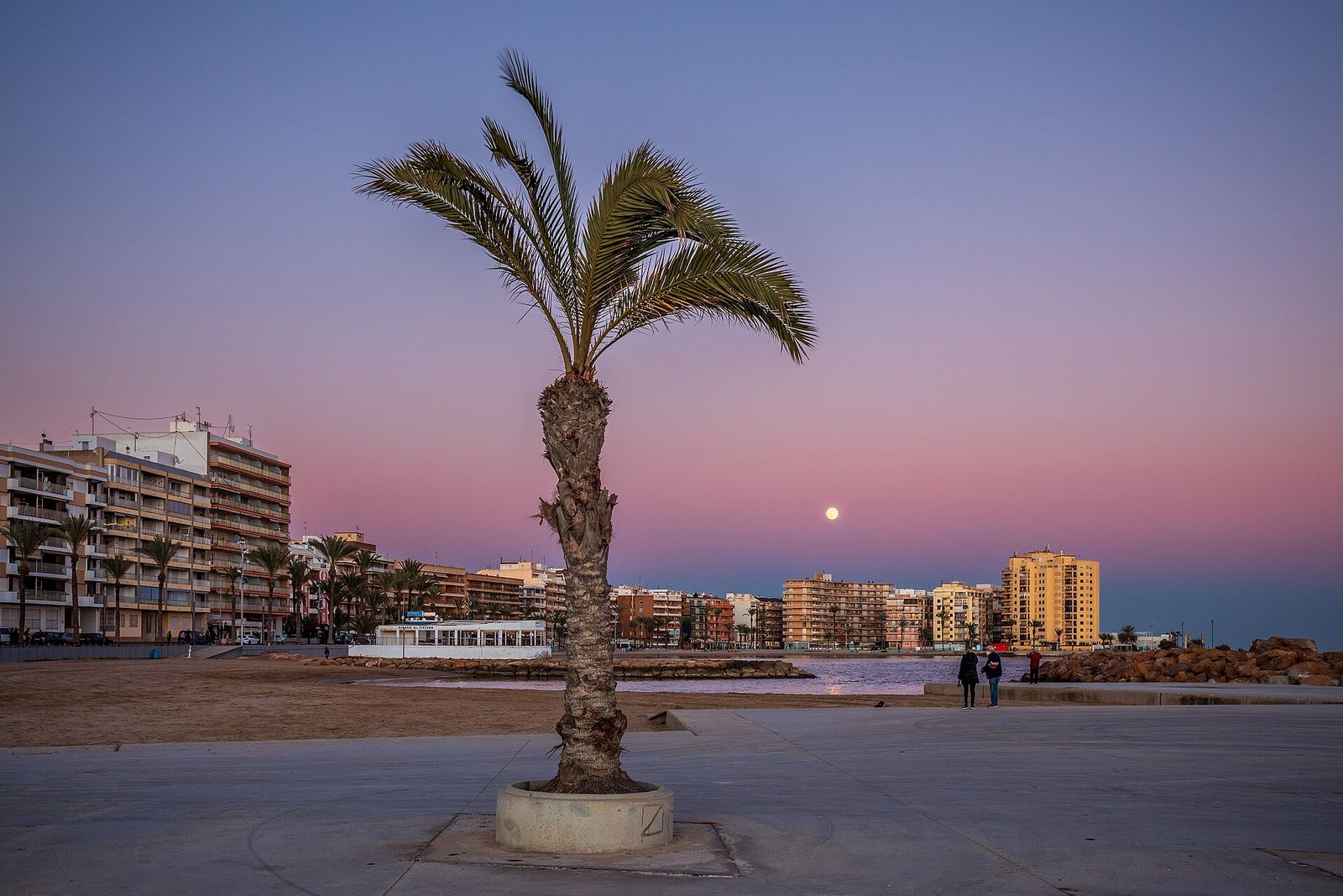 Üksik palm betoonvaagnas laial promenaadil Playa del Cura ääres, taga rannaäärsed kortermajad ja roosa õhtutaevas tõusva kuuga